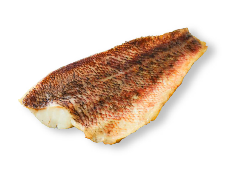 焼き魚